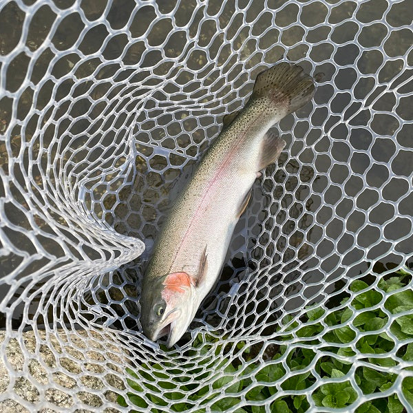 エリアトラウト入門】寒くても釣れる！冬の攻略法とおすすめルアー紹介