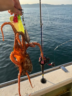 2025最新】明石の船タコ釣りが絶好調！初心者でも釣れるおすすめ