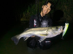 【リバーシーバス攻略】日本海河川で60cm級をキャッチ!渇水後の雨がチャンスに
