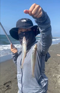 【茅ヶ崎サーフ釣果速報】遠投キス釣りで20cm超の良型ゲット!初心者でも楽しめるコツとは?