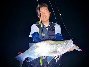 【ウェーディング初ヒラスズキ!】雨後の濁り+稚鮎パターンでキャッチ成功🎣✨