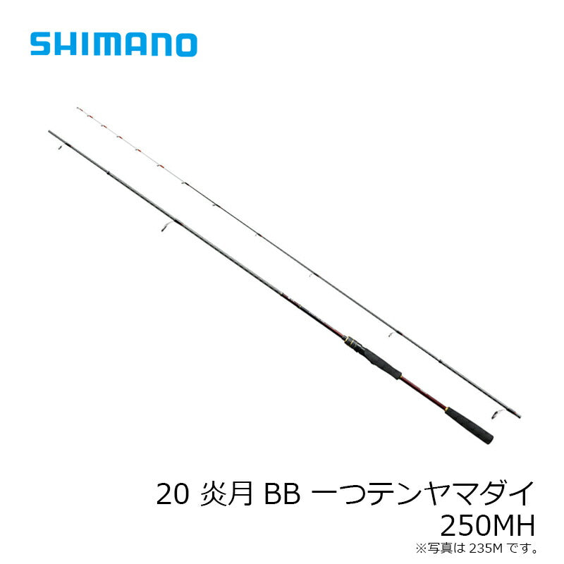 20 炎月BB 一つテンヤマダイ 250MH