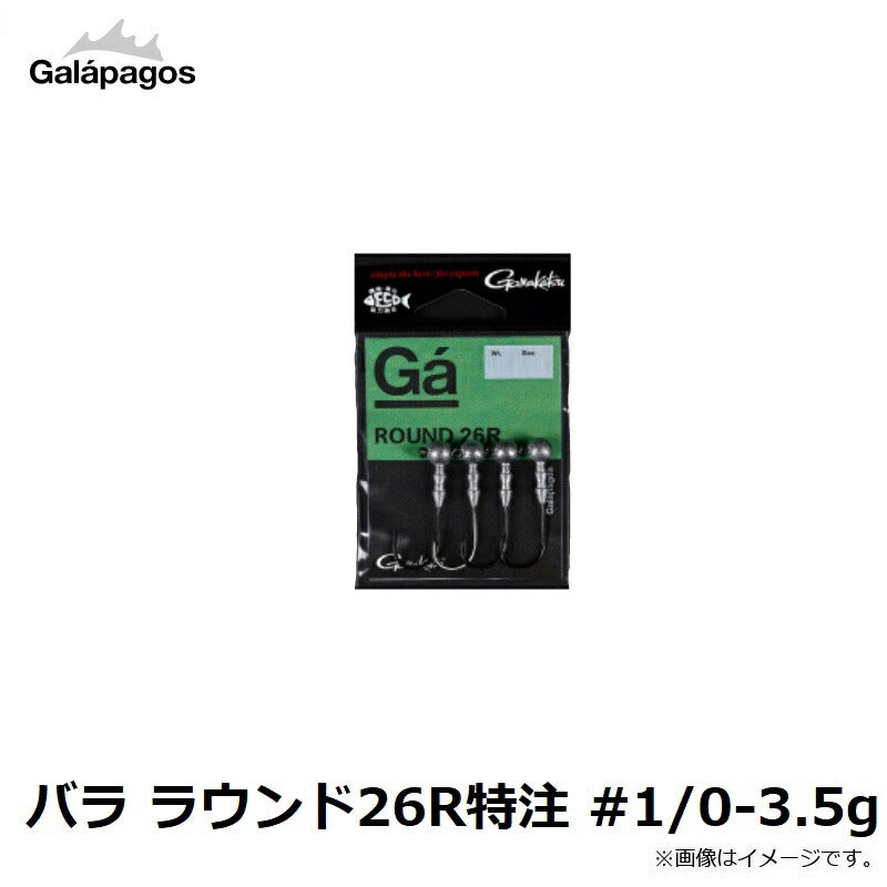 バラ ラウンド26R特注 #1/0