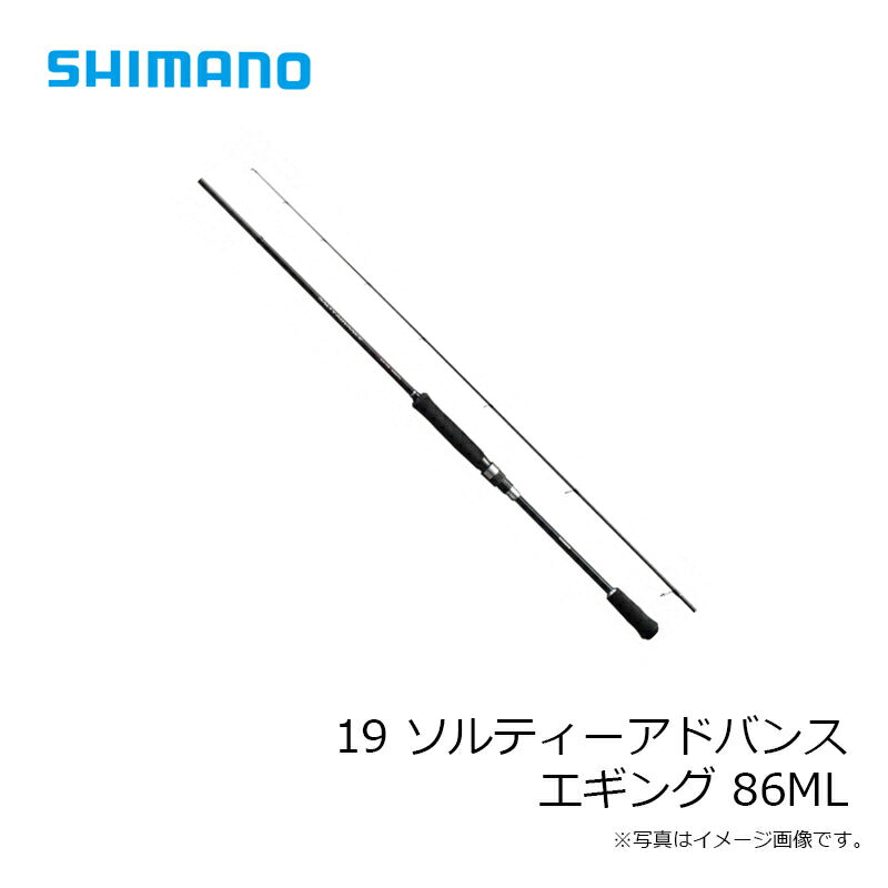 19 ソルティーアドバンス エギング 86ML