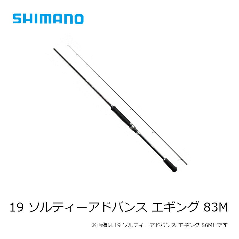 19 ソルティーアドバンス エギング 83M