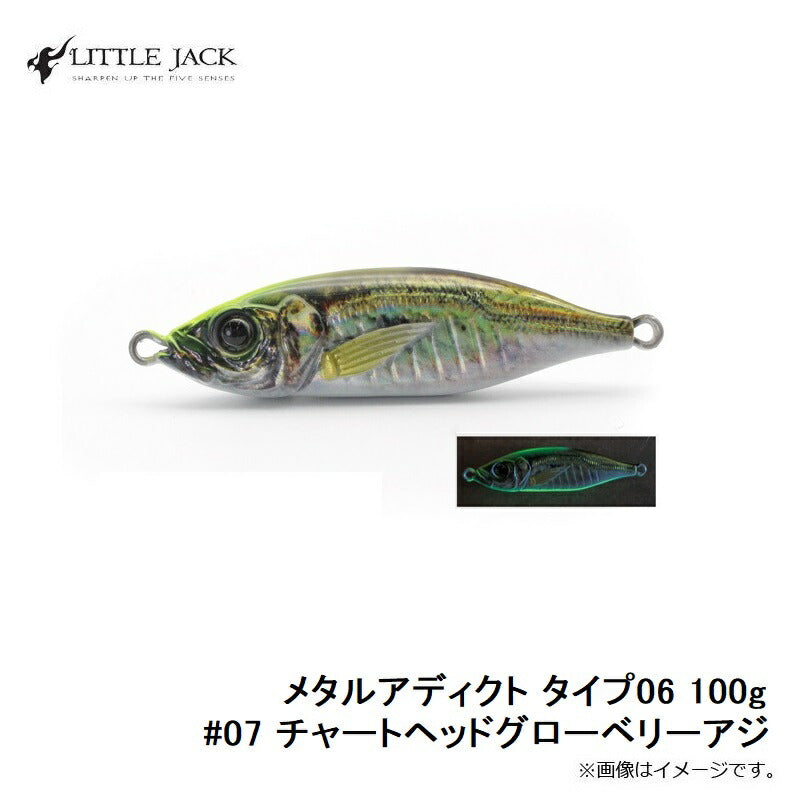 メタルアディクト タイプ06 100g