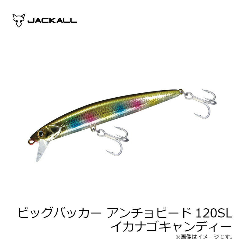 ビッグバッカー アンチョピード120SL イカナゴキャンディ