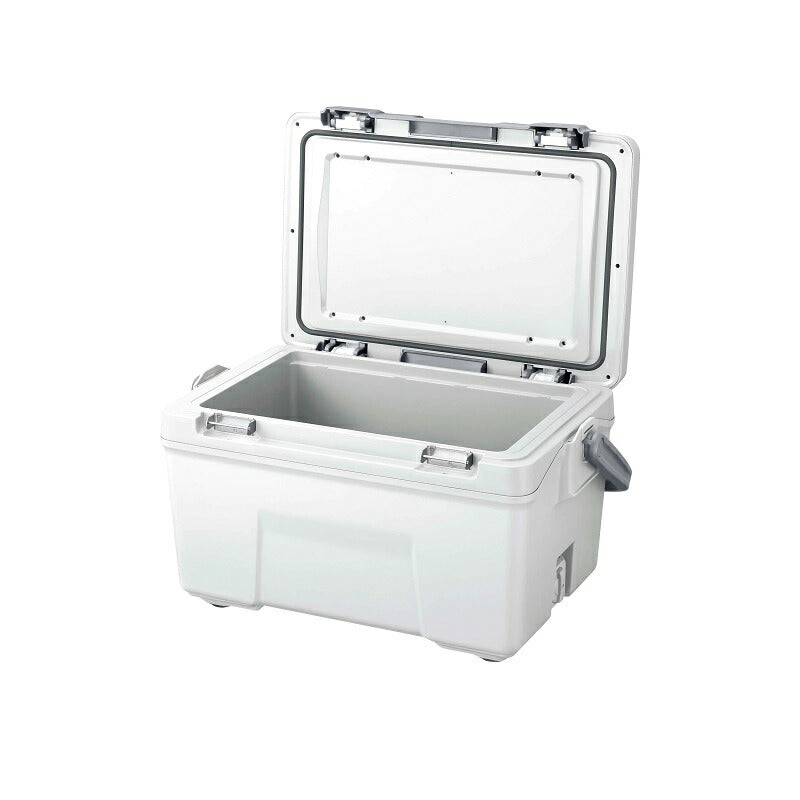 NB-432W アブソリュートフリーズ ライト 32L グレー