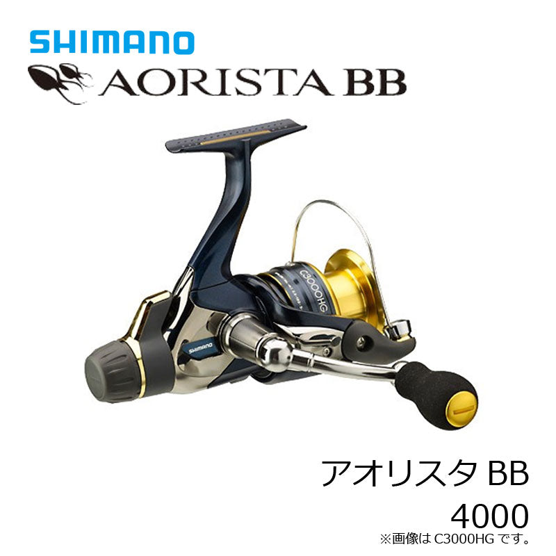13アオリスタBB 4000