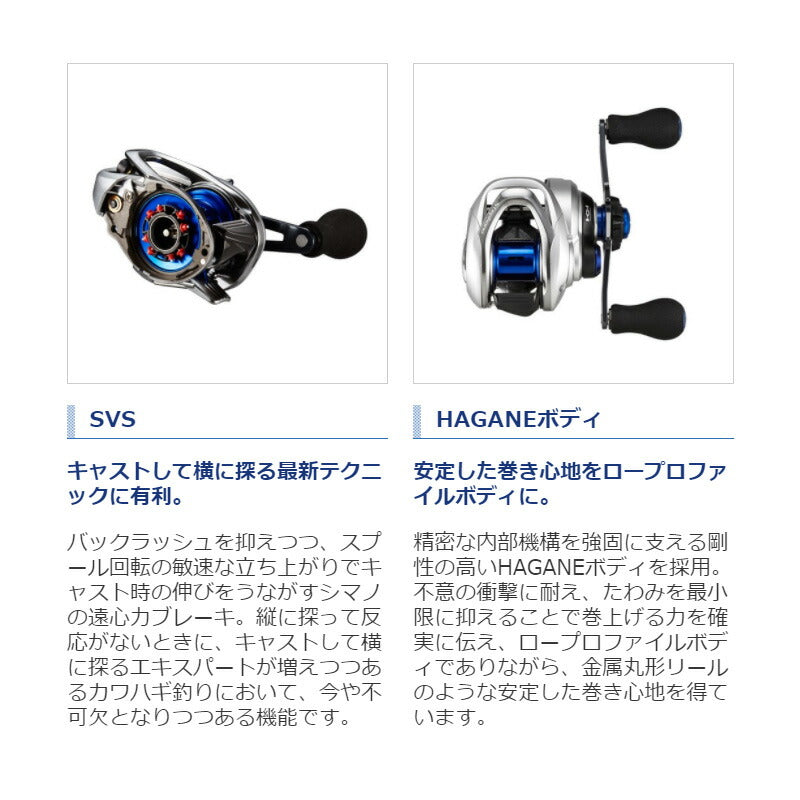 17 ステファーノ SS 100HG