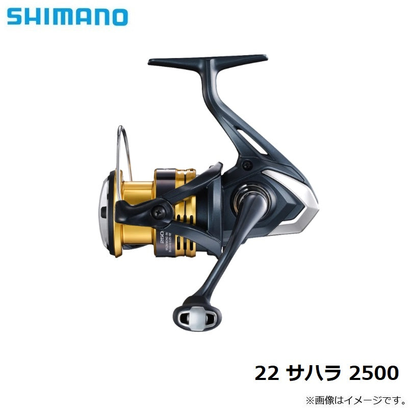 22 サハラ 2500