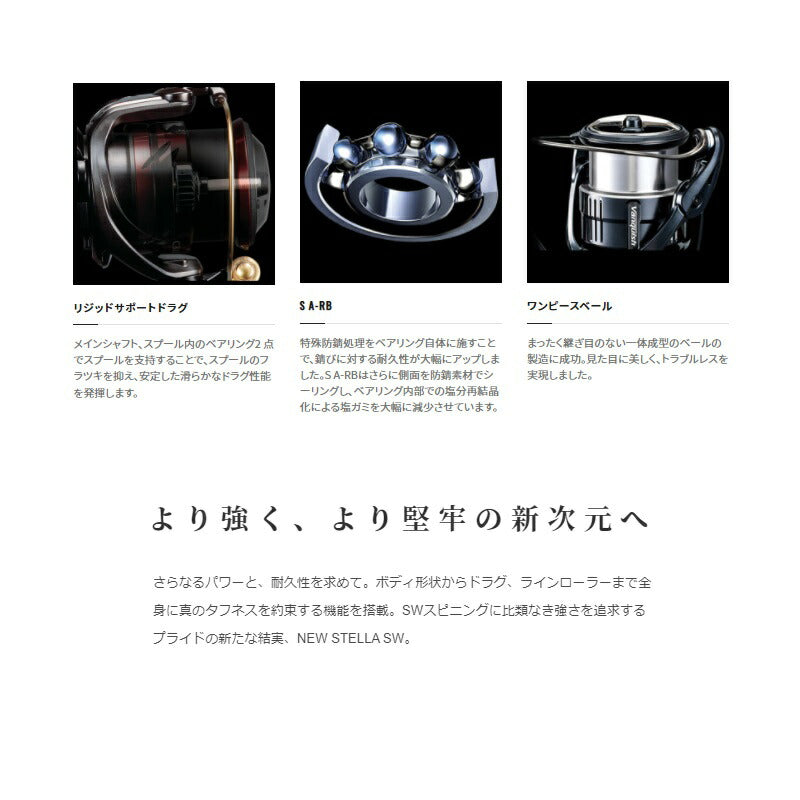 22 ステラ SW 10000HG