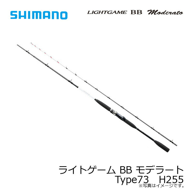 ライトゲーム BB モデラート Type73 H255