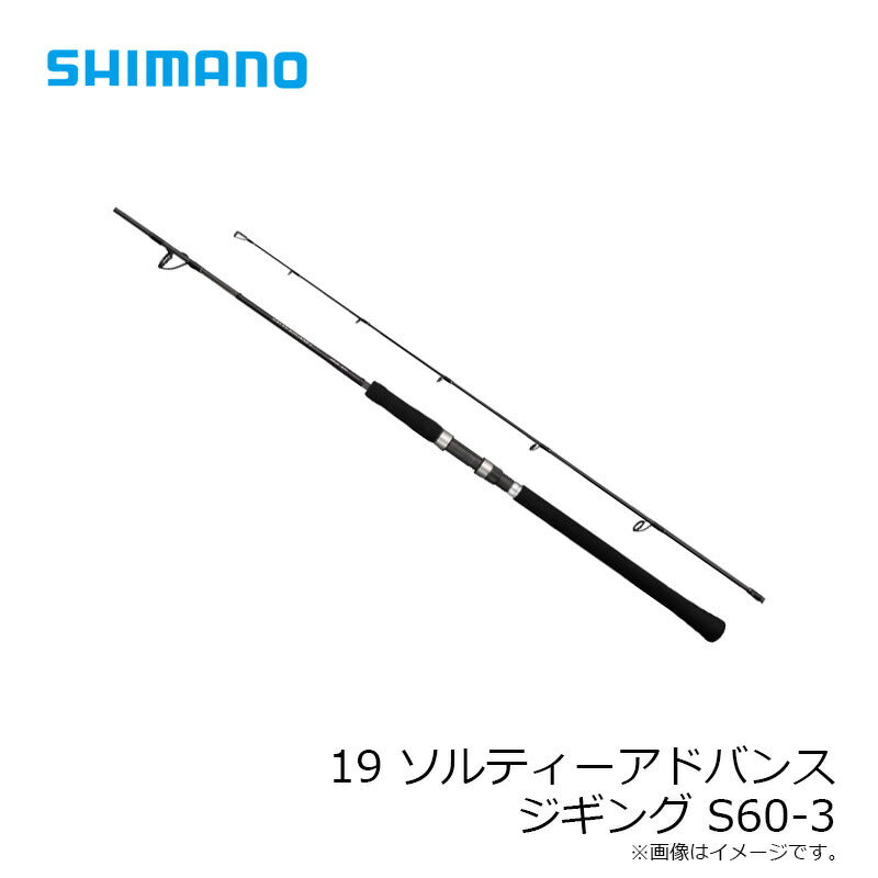 19 ソルティーアドバンス ジギング S60-3 【大型商品】