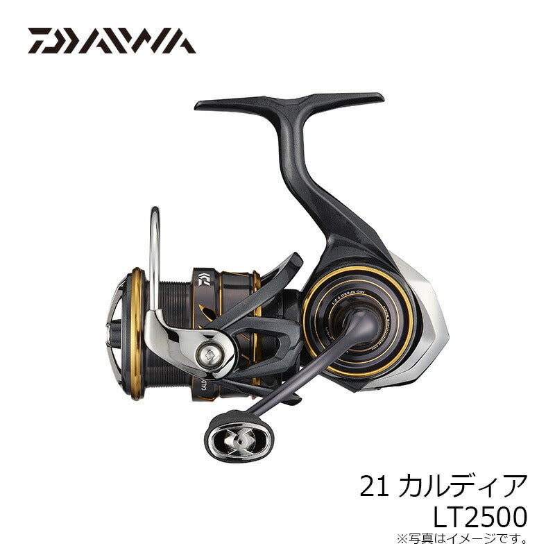 【在庫限り特価】 21カルディア LT2500