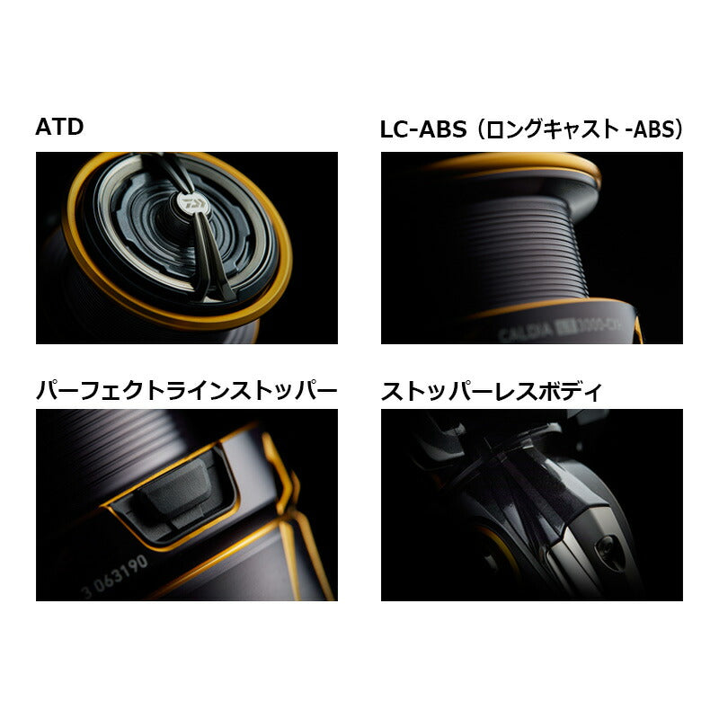 21カルディア LT3000-CXH