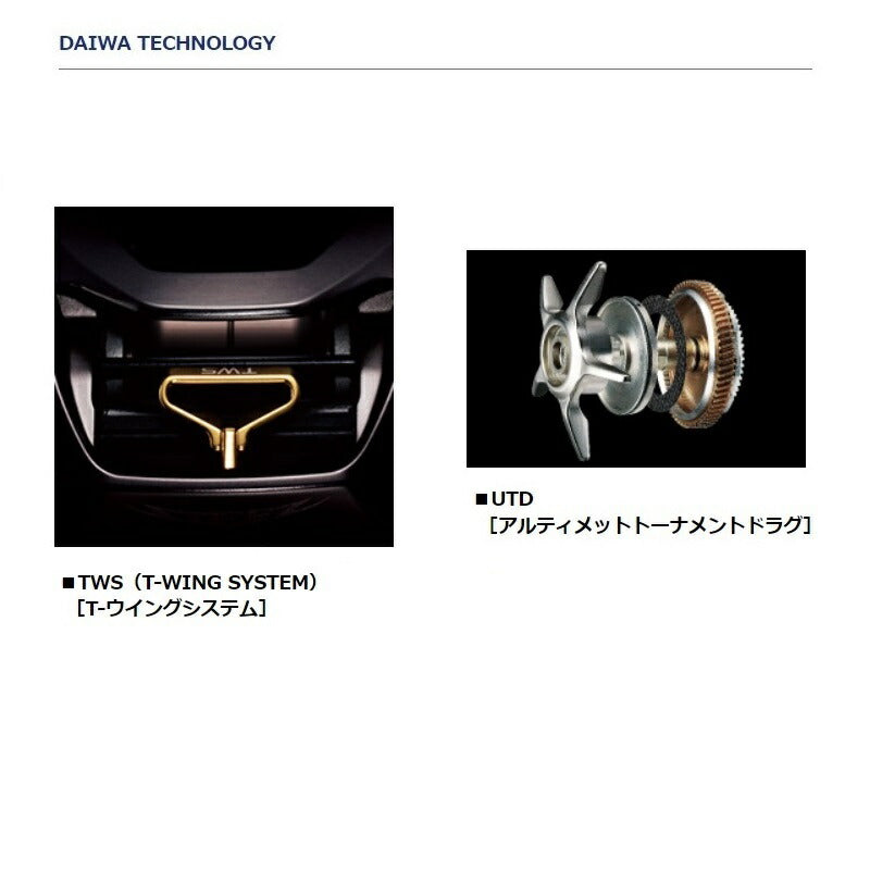 スティーズリミテッド SV TW 1000HL