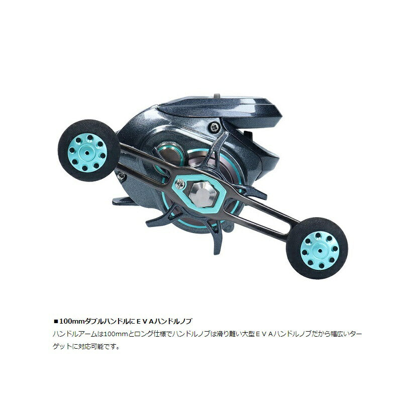 ライト SW X IC L SS