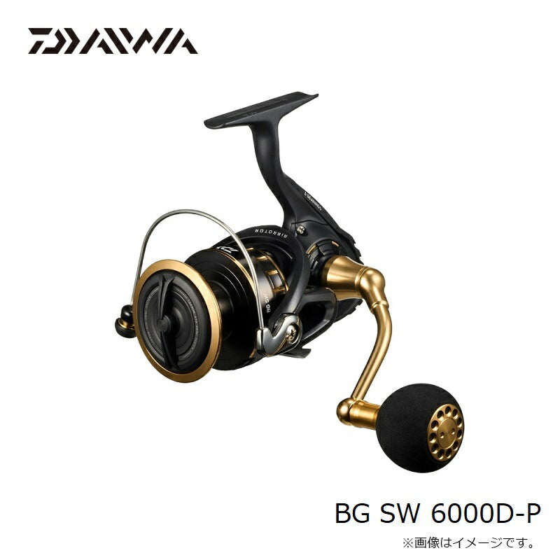 23BG SW 6000D-P