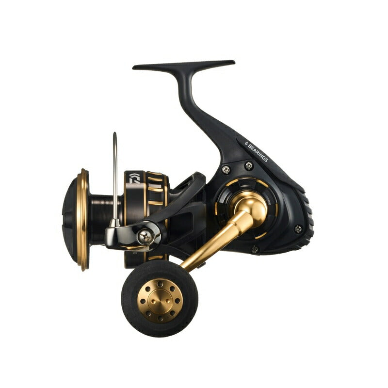 23BG SW 10000-H