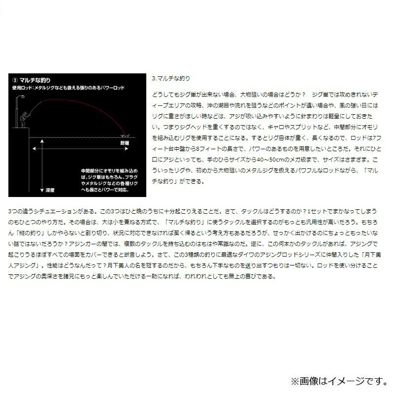 月下美人 AJING 55UL-S・R