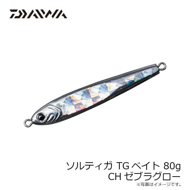 ソルティガTGベイト 80g