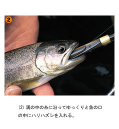 ゼロハリハズシ S