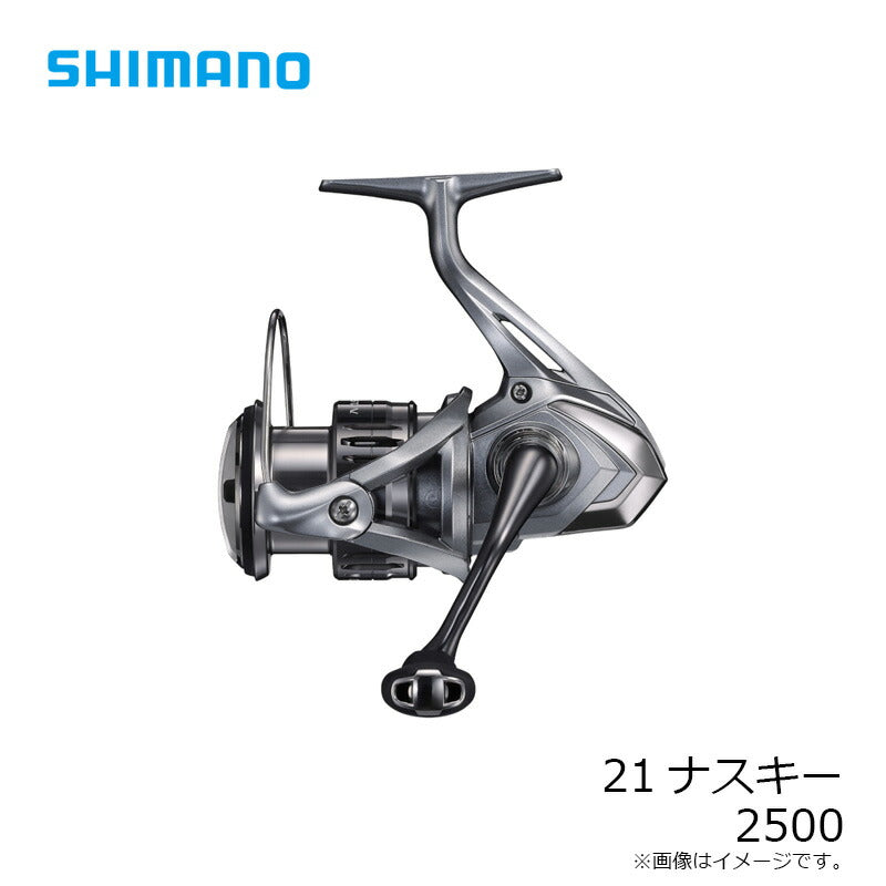 21 ナスキー 2500