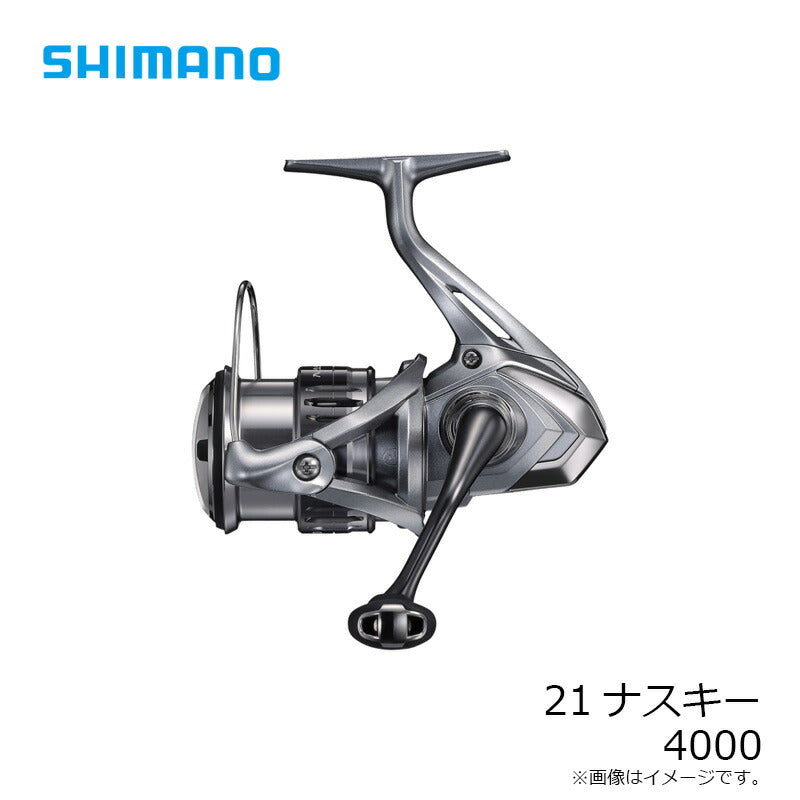 21 ナスキー 4000
