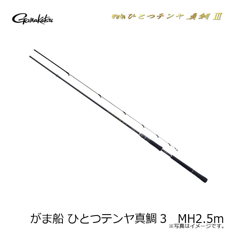 がま船 ひとつテンヤ真鯛III MH 2.5m