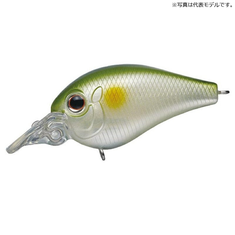 ピッコロ ダイブシャロー