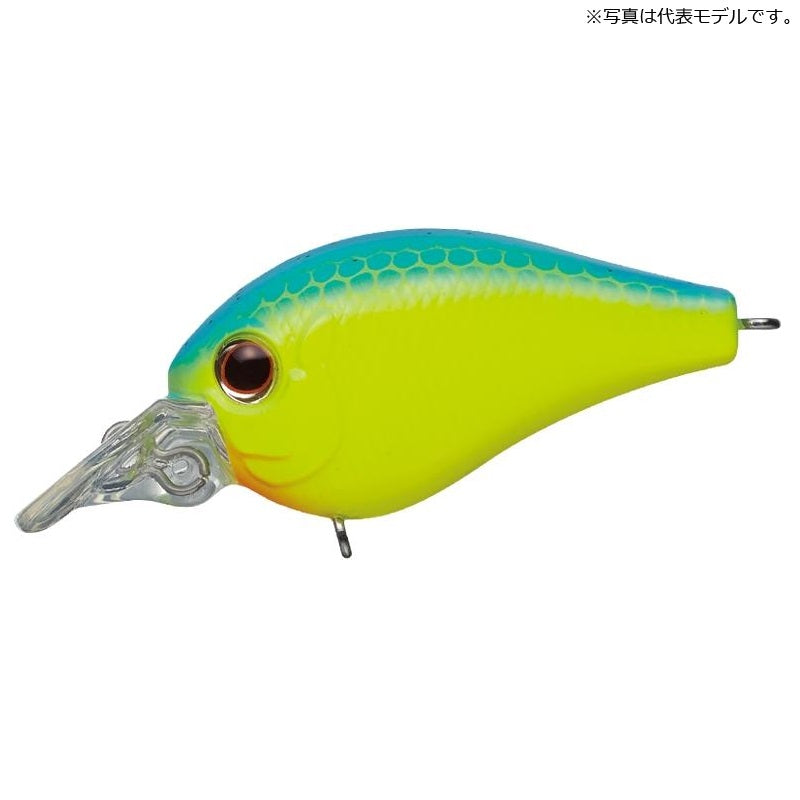 ピッコロ ダイブシャロー