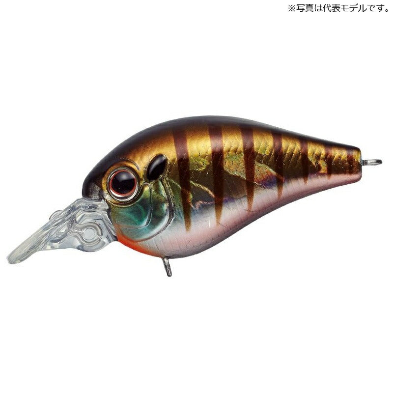 ピッコロ ダイブシャロー