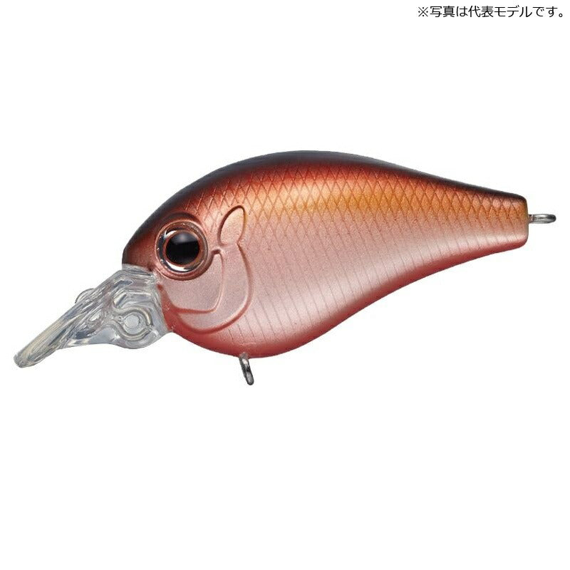 ピッコロ ダイブシャロー