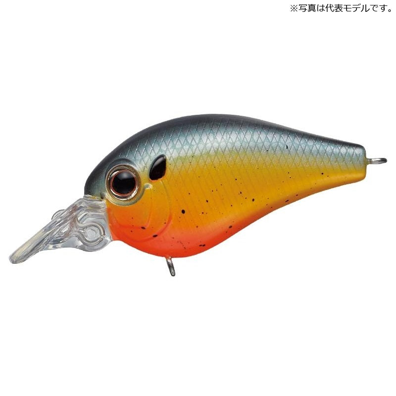 ピッコロ ダイブシャロー