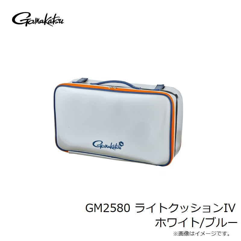 GM2580 ライトクッションIV ホワイトxブルー