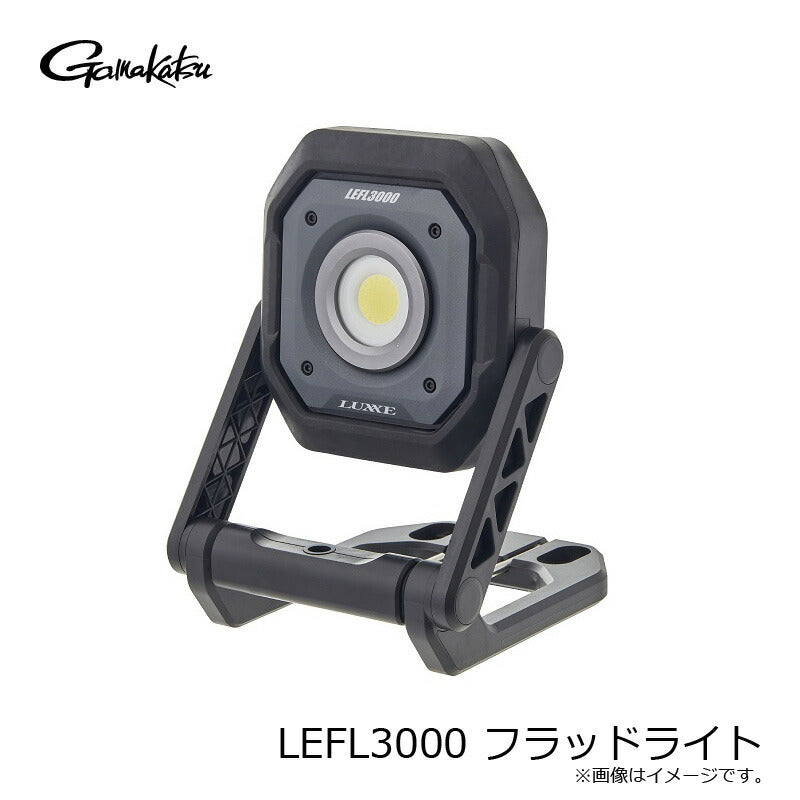 LEFL3000 フラッドライト