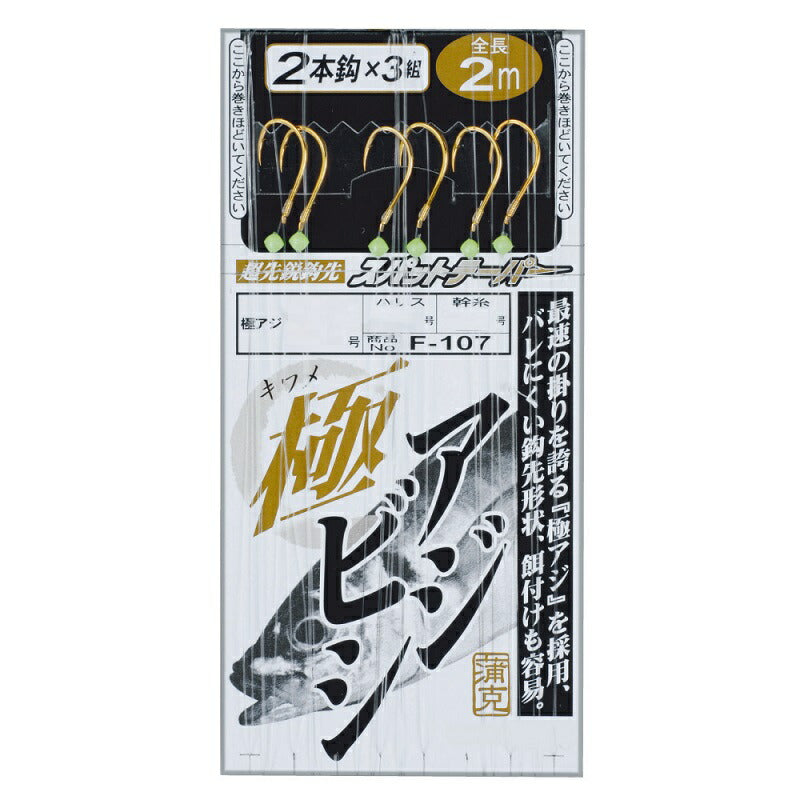 極アジビシ 2本仕掛