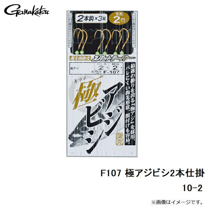 極アジビシ 2本仕掛