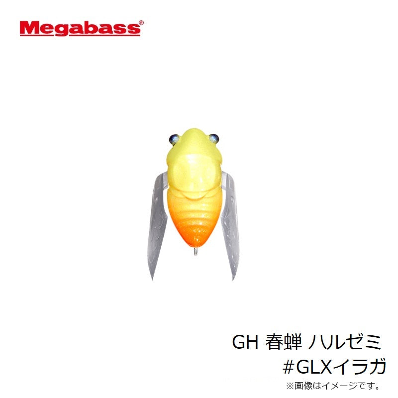 GH 春蝉 ハルゼミ