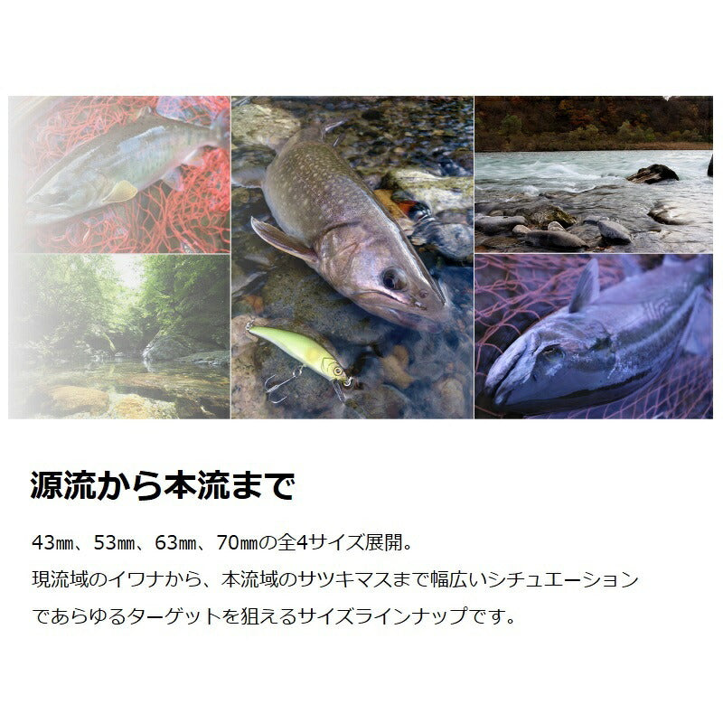 トリコロール流芯 53HW