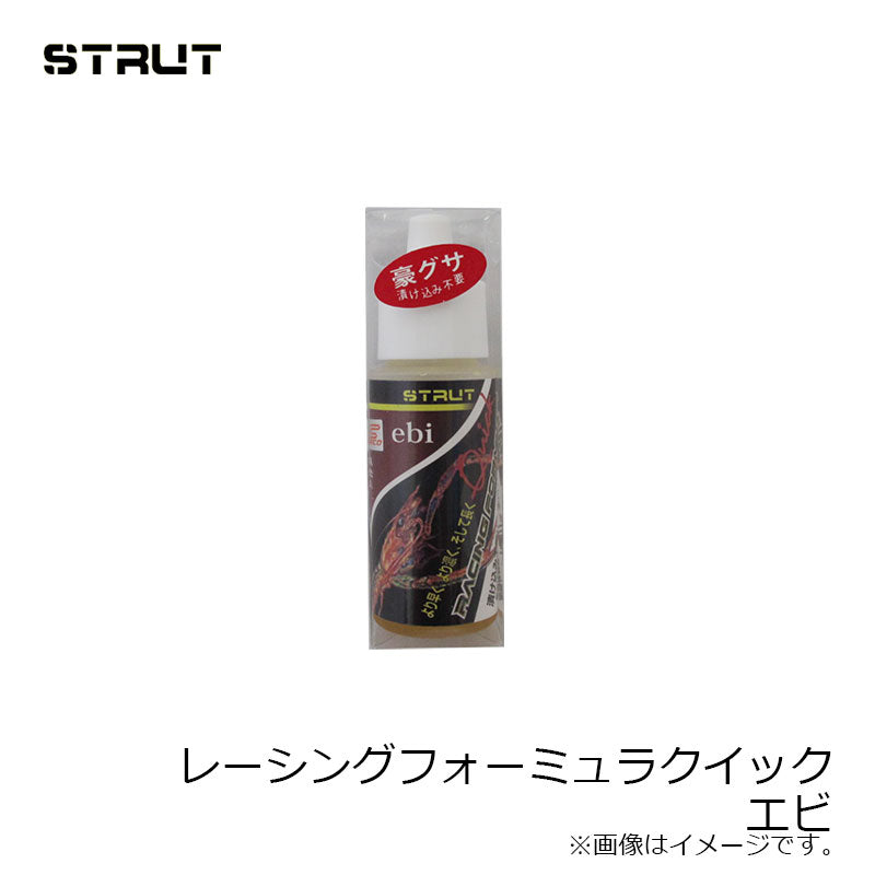 レーシングフォーミュラクイック タイプエビ