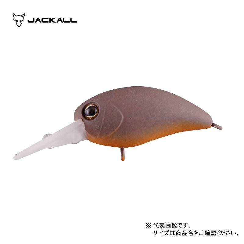 パニクラDR