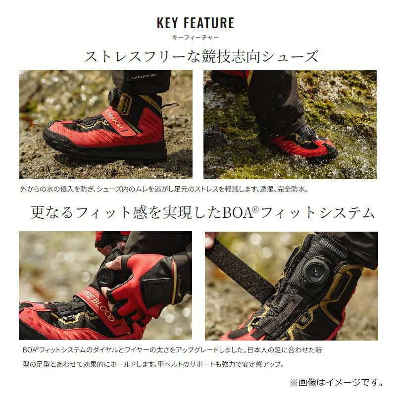 FS-140X リミテッドプロ ゴアテックスシューズ