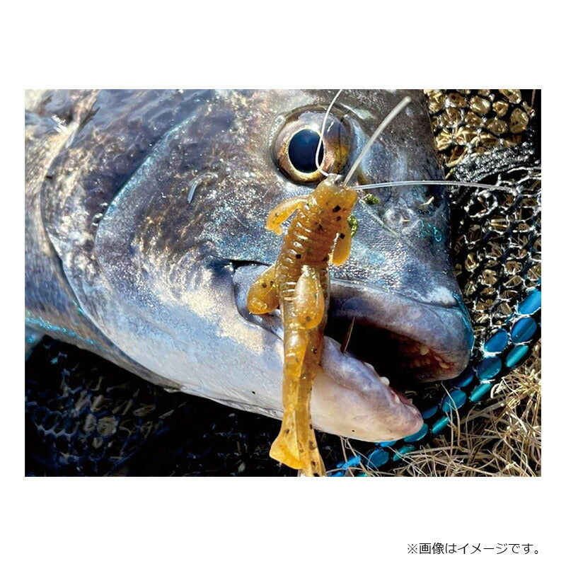 触角フック #2