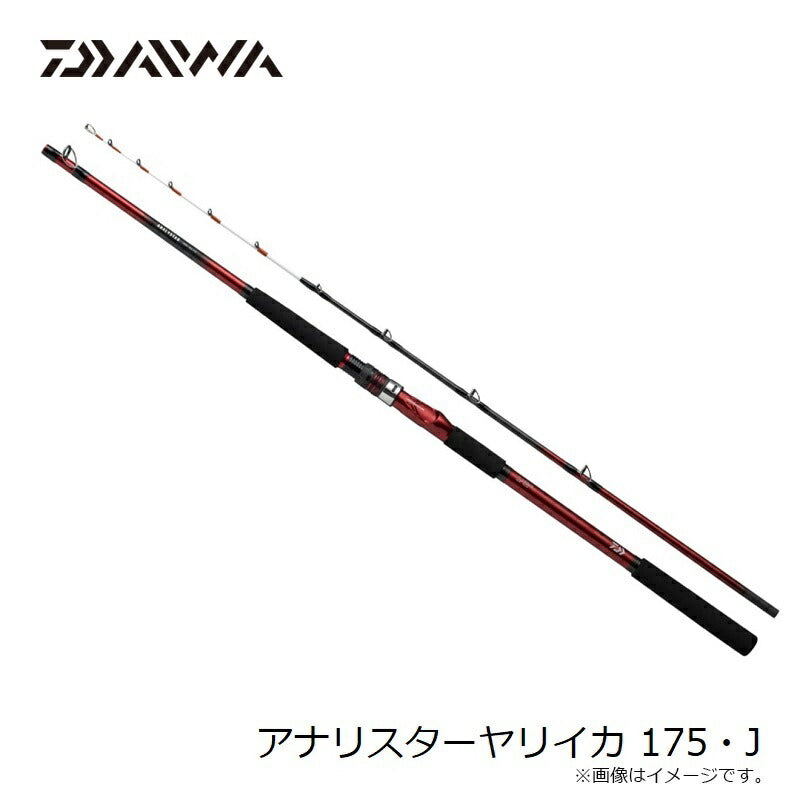 24 アナリスター ヤリイカ 175・J