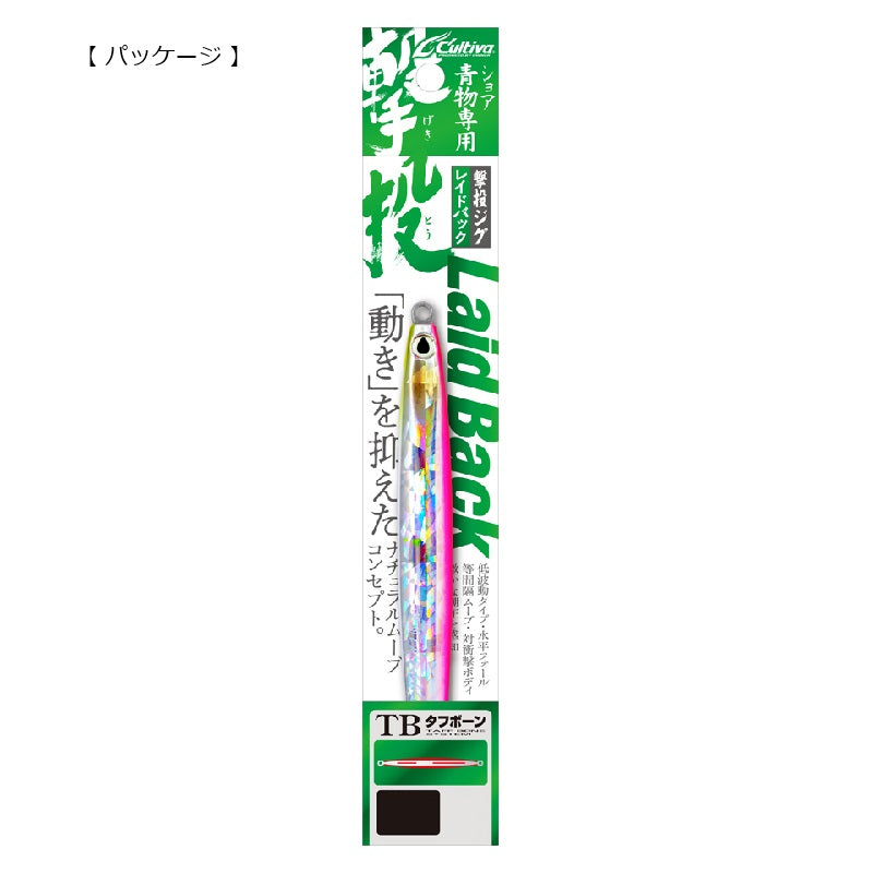 GJB-100 撃投ジグ レイドバック 100g