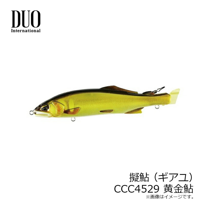 擬鮎 CCC4529 黄金鮎