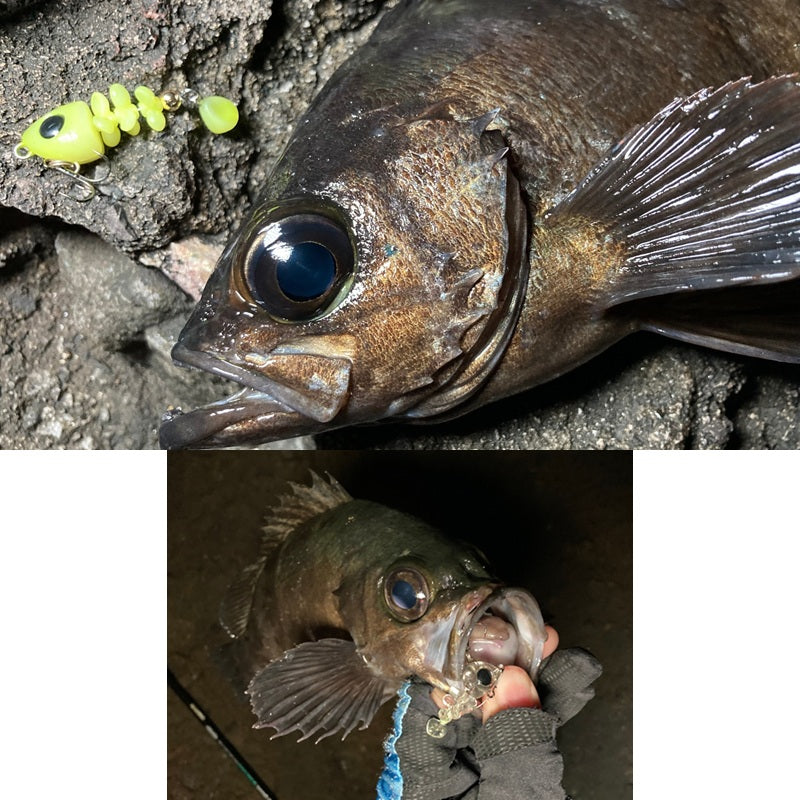 魚骨 44 ディープ