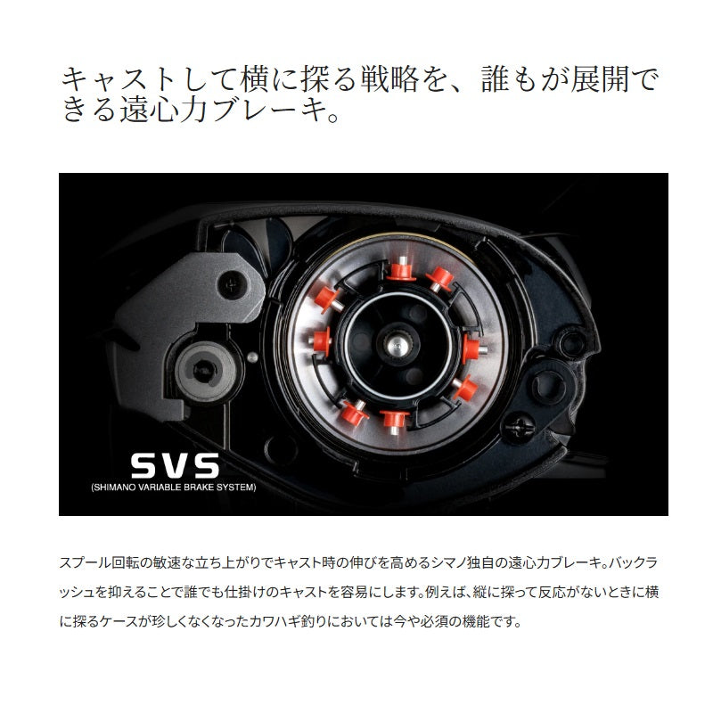 25 スティーレ 100XG / 右ハンドル
